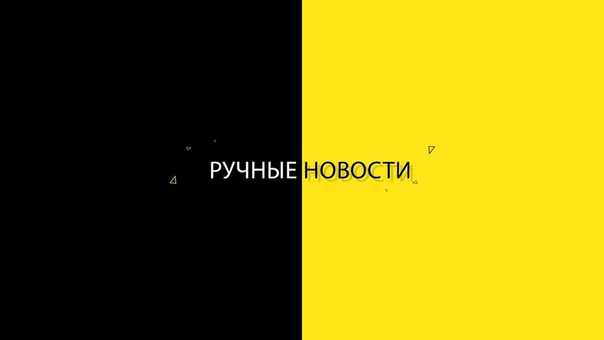 Ручные новости: Выпуск 1.
