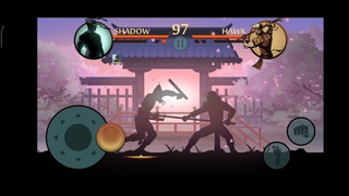 shadow vs Hawk