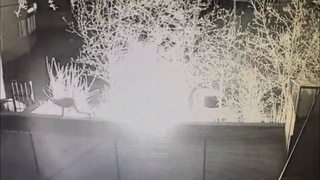 Поджигатель автомобилей на Щорса попал на видео |