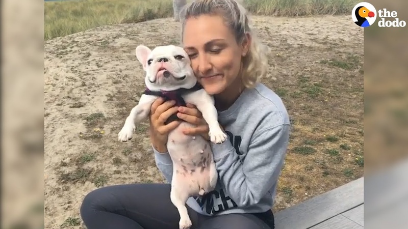 Cute Little Rescue Dog Is So Spoiled BETHANEE UPDATE, The