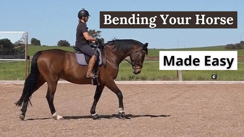 Horse Riding Lessons How To Bend Your