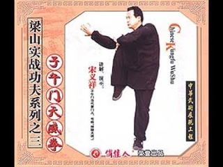 Liang Shan style Heavenly Might Fist