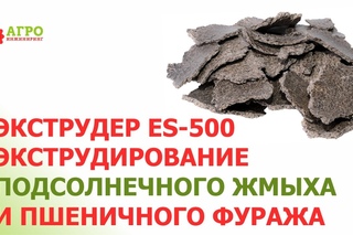 Жмых подсолнечника с зерновыми. Экструдирование