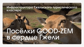 Что стоит посетить в Гжели? Открываем секреты уникального туристического кластера!