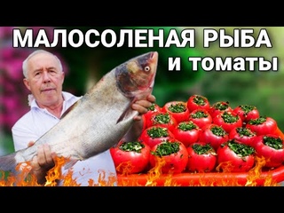 ТОЛСТОЛОБИК МАРИННОВАНЫЙ в ЗЕЛЕНИ и ЗАКУСКА из ФАРШИРОВАННЫХ МАЛОСОЛЕНЫХ КРАСНЫХ ПОМИДОР.