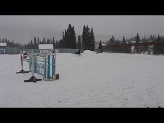 Анзак