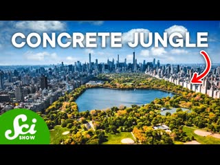 7 Animal Species Discovered in Urban Cities