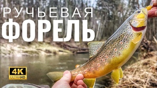 Ручьевая ФОРЕЛЬ даёт ЖАРУ! Один ТОП воблер сделал ВСЮ рыбалку!