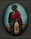 Дворянский кот