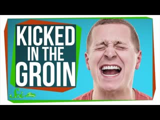 Why Does Getting Kicked in the Groin Hurt SO Much
