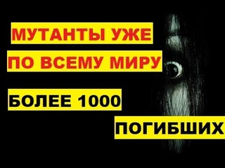 Страшные мутанты США Турция Россия Погибло более 1000 ламантинов во Флориде Что происходит в природе