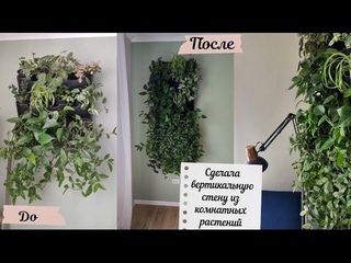 Вертикальная стена из комнатных растений /Urban Jungle/ Сделала зону для чтения /Фитомодуль&quotBoxsand"