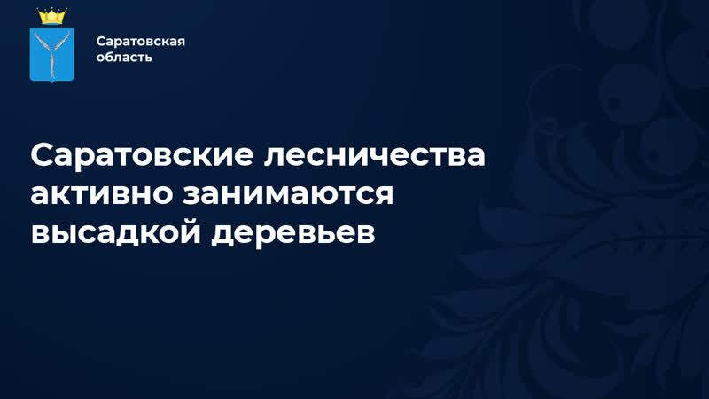 Саратовские лесничества активно занимаются высадкой
