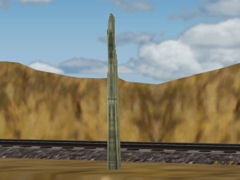 Saguaro Cactus 2