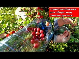 ПОЧЕМУ Я РАНЬШЕ НЕ ДОДУМАЛАСЬ СДЕЛАТЬ ЭТИ ПРИСПОСОБЛЕНИЯ ДЛЯ СБОРА ЯГОД СВОИМИ РУКАМИ. сбор ягод