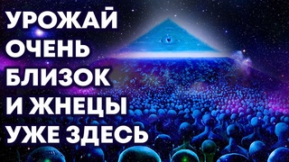 Это последние времена трансформации