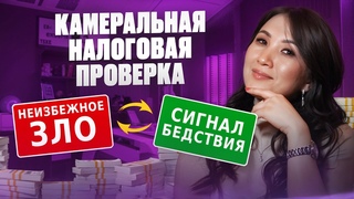 Камеральная налоговая проверка