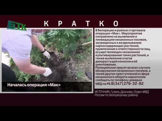 Началась операция Мак