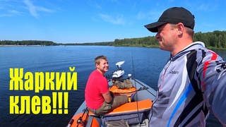 ЛОВЛЯ СУДАКА НА КРУПНЫЙ СИЛИКОН!!! ЧТО ЛУЧШЕ