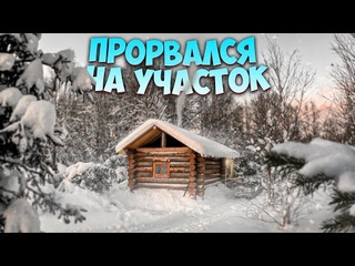 ОДИН В ТАЙГЕ. ПЕРВЫЙ ПРОРЫВ НА УЧАСТОК. УДАЧНО ЗАЕХАЛ. ТУНДРА 550.