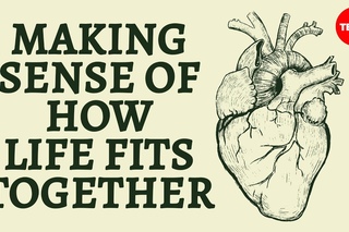 Making sense of how life fits together - Bobbi Seleski