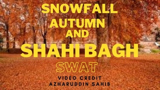 Shahi Bagh ll Autumn ll Swat ll Malakand