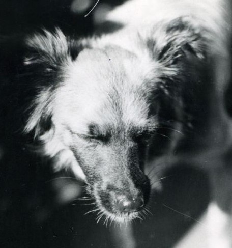 Владимир Гусаков | Санкт-Петербург