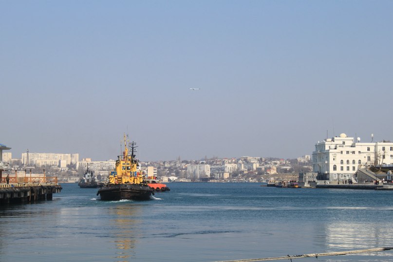 Катя Шереметева ***Grenouille heureuse*** | Nice