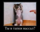 №39 Рита Брига 27.04.1999: профиль, фото, статус - ВКонтакте №39 Рита Брига 27.04.1999: профиль, фото, статус - ВКонтакте