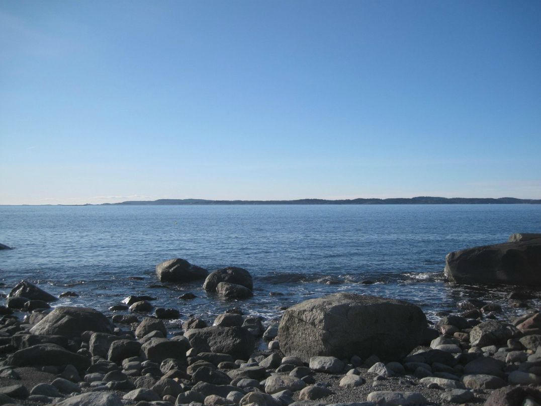 Елена Карлсен | Tønsberg