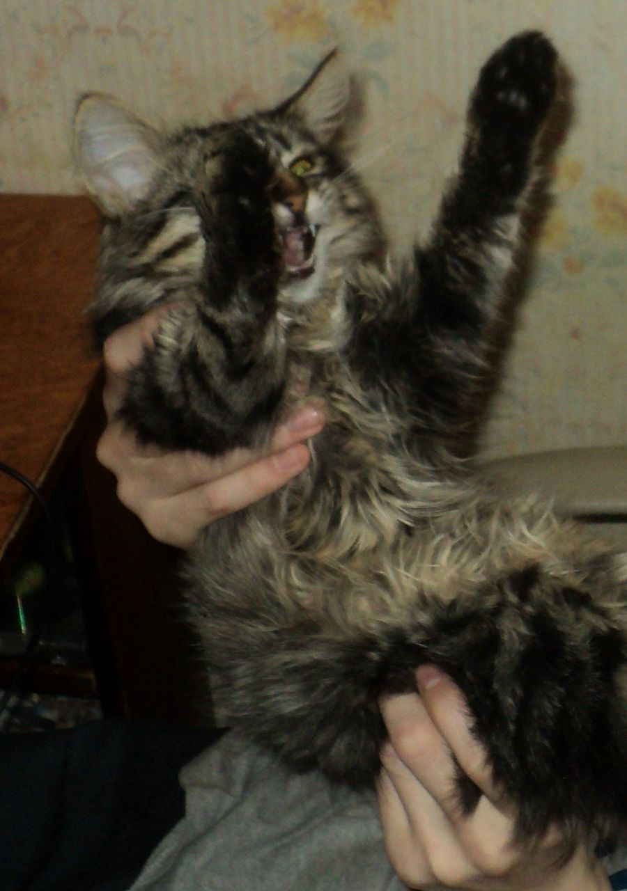 Алексей Цыгулёв | Ухта