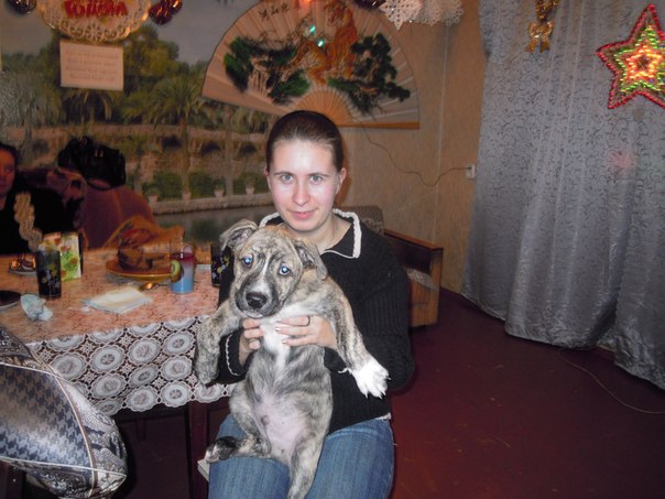 №100, Наталья Школаберда, 38 лет, Лодейное Поле, Россия №100, Наталья Школаберда, 38 лет, Лодейное Поле, Россия