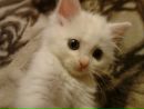 №17 Екатерина Луцишина 28.06.1994: профиль, фото, статус - ВКонтакте