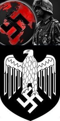 Сергий Фрегер ALIGATOR | 