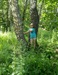 Вика Павлова фотография #30