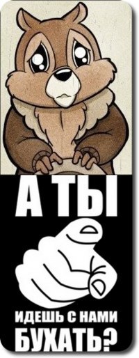 №114, Александр Загурский, 27 лет, Одесса №114, Александр Загурский, 27 лет, Одесса