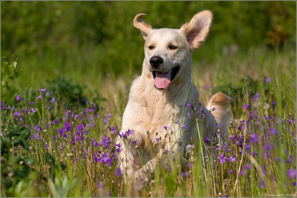 Виктор Байзаров Сергеевич | Самара