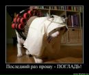 №7 Ирина Лескина 06.06.1999: профиль, фото, статус - ВКонтакте