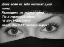 Фотография Замира Мамедова