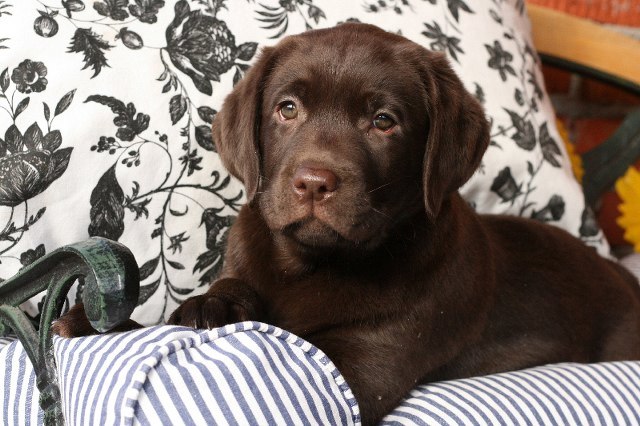 Diana M | Алматы