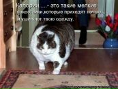 №36 Анастасия Дыдышко 12.06.1989: профиль, фото, статус - ВКонтакте