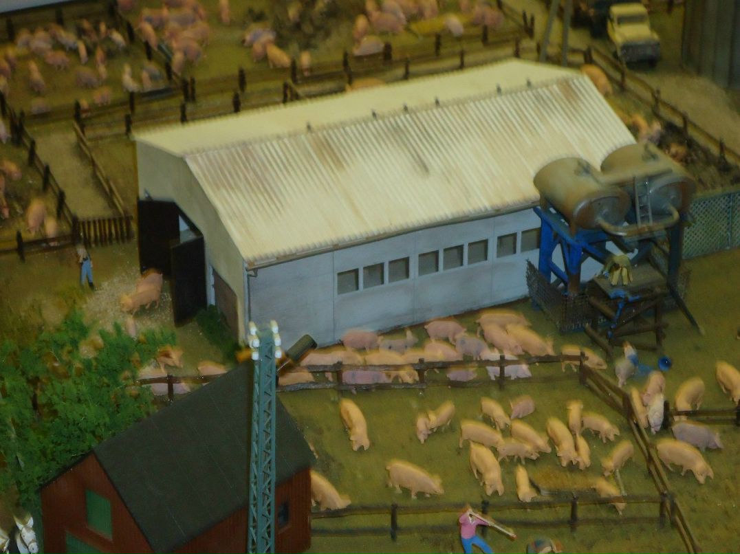 Владимир Филиппов | Гатчина