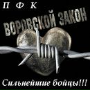 Фотография Александр Курбатов