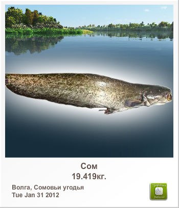 Виктор Батрак | 