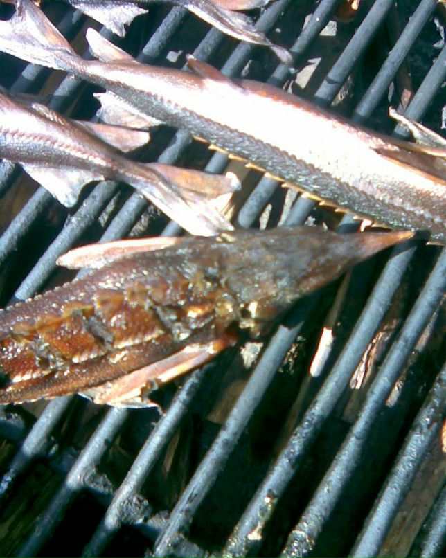 Роман Абилов | Юлдус