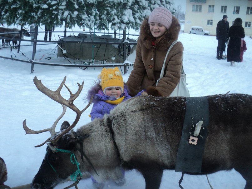 Елена Старкова | Салехард