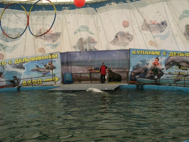 №12, Ольга Савчик №12, Ольга Савчик