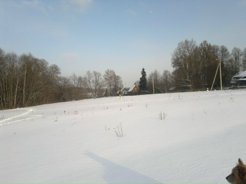 Георгий Ларионов | Калуга (деревня)