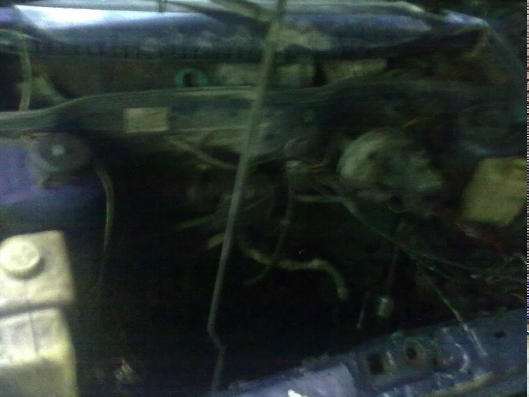 Серёжа Тарновский | Москва