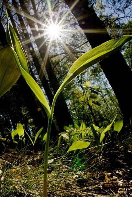 Татьяна Петухова | 